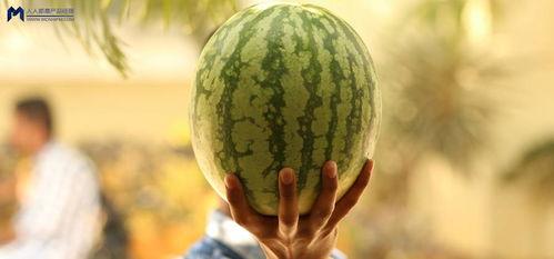 吃娱乐圈大瓜,揭秘明星背后的惊人真相